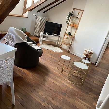 Magnifique Appartement Beaux Arts Tours Ngoại thất bức ảnh