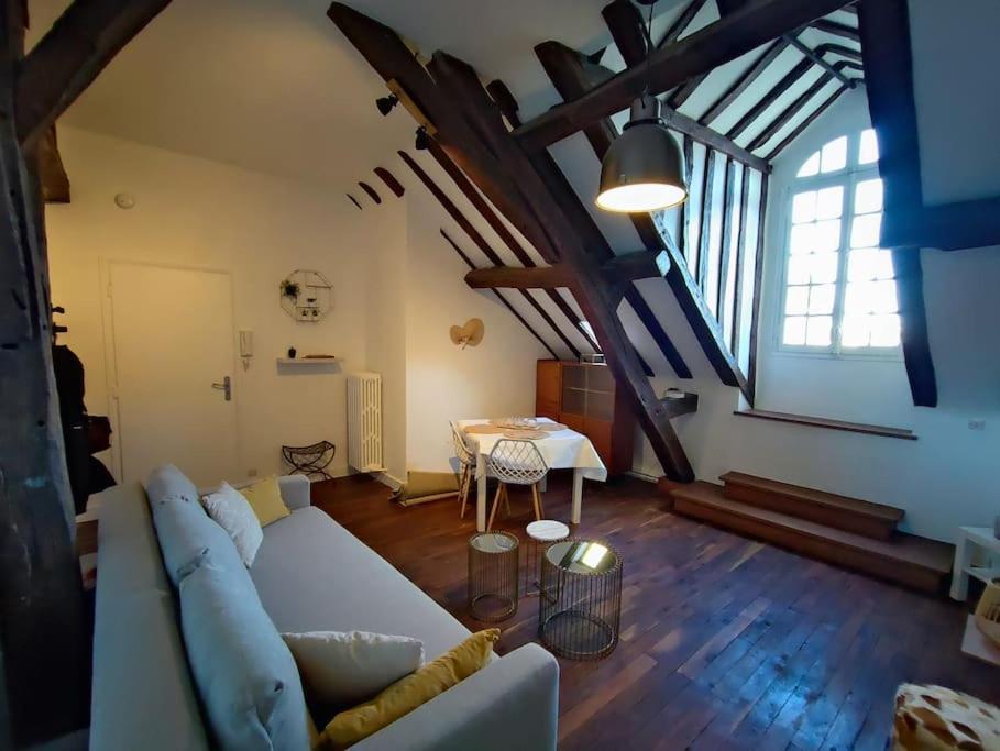 Magnifique Appartement Beaux Arts Tours Ngoại thất bức ảnh