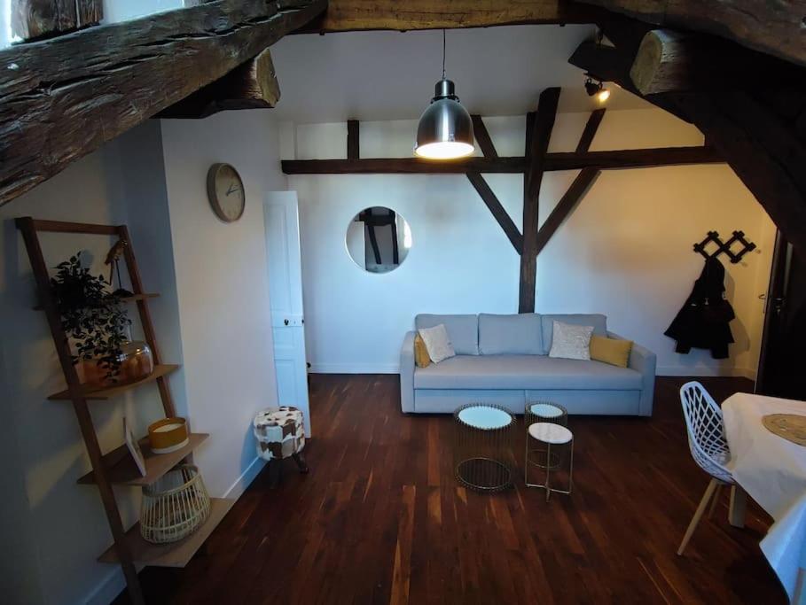 Magnifique Appartement Beaux Arts Tours Ngoại thất bức ảnh