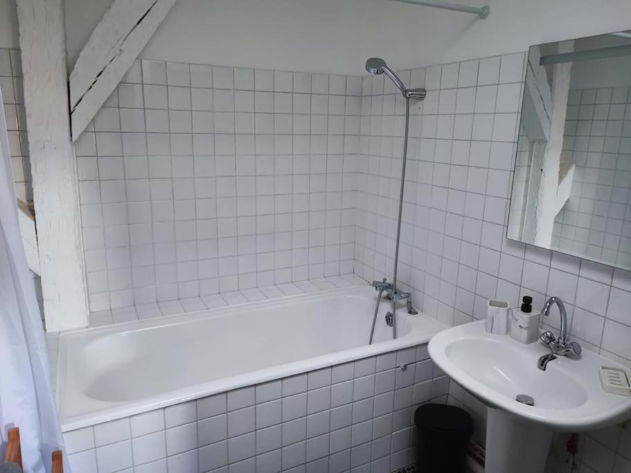 Magnifique Appartement Beaux Arts Tours Ngoại thất bức ảnh