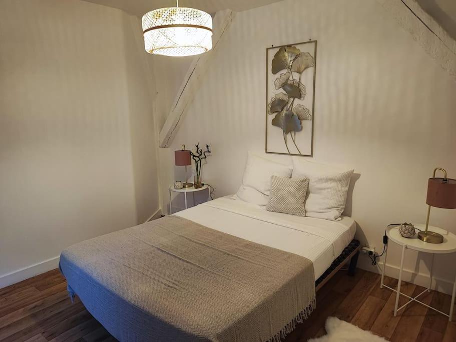 Magnifique Appartement Beaux Arts Tours Ngoại thất bức ảnh