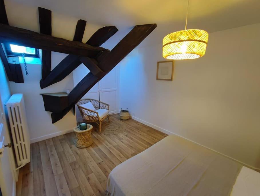 Magnifique Appartement Beaux Arts Tours Ngoại thất bức ảnh