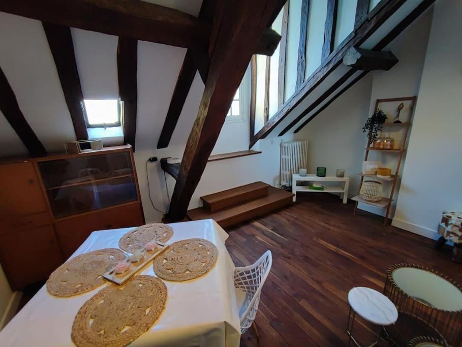 Magnifique Appartement Beaux Arts Tours Ngoại thất bức ảnh