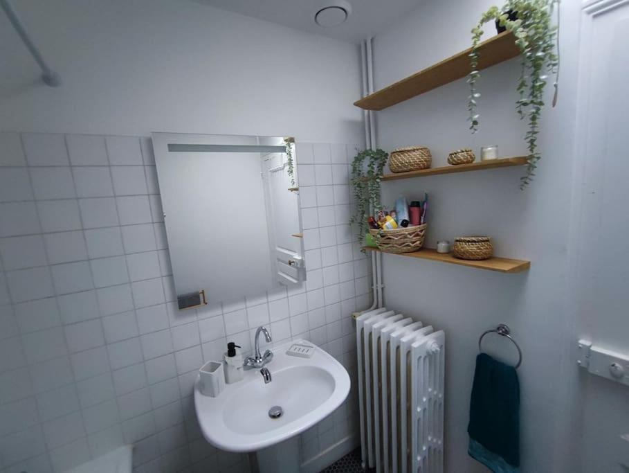 Magnifique Appartement Beaux Arts Tours Ngoại thất bức ảnh