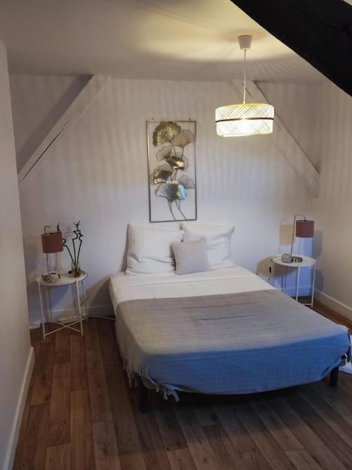 Magnifique Appartement Beaux Arts Tours Ngoại thất bức ảnh