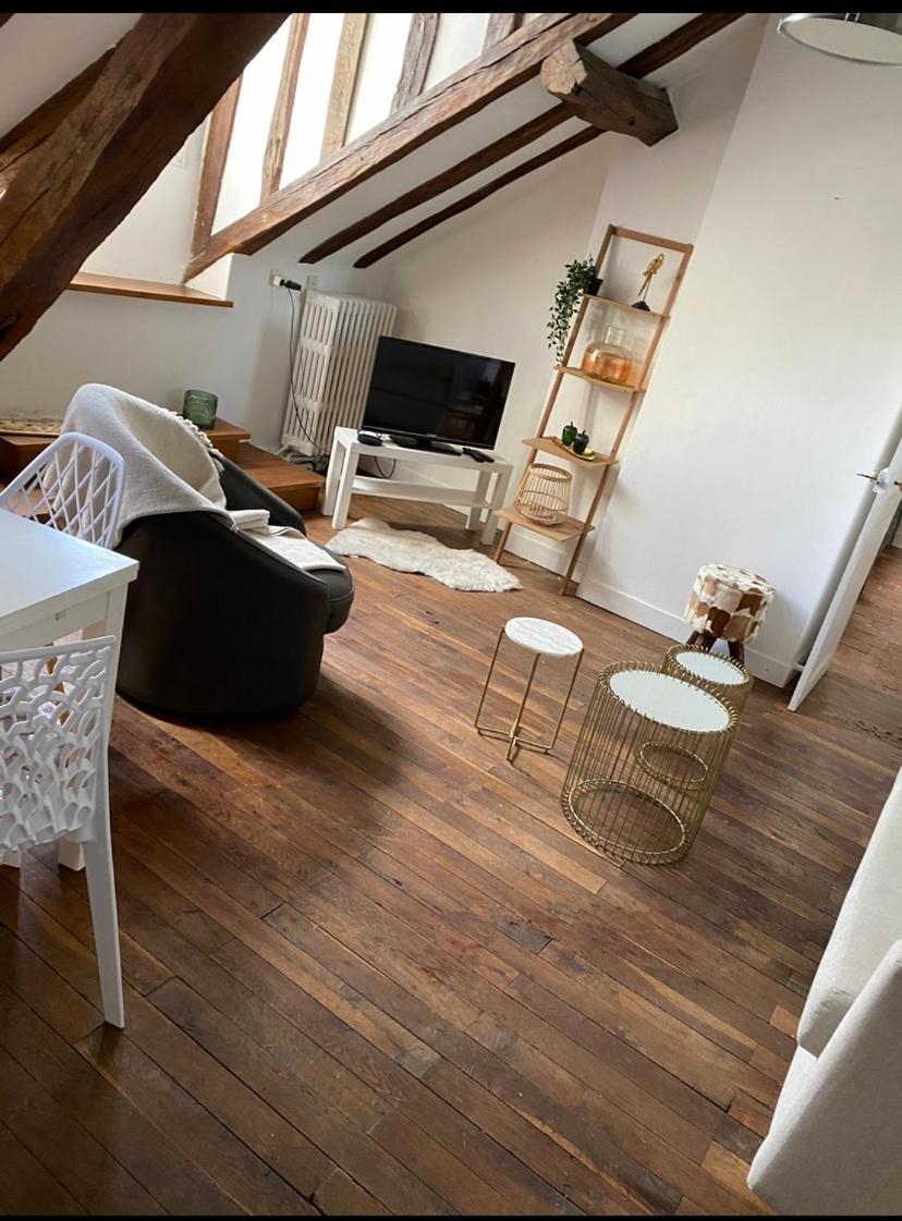 Magnifique Appartement Beaux Arts Tours Ngoại thất bức ảnh