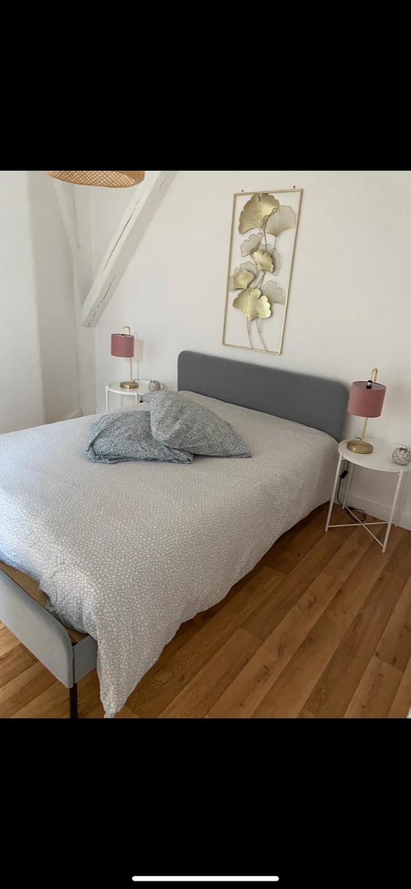 Magnifique Appartement Beaux Arts Tours Ngoại thất bức ảnh